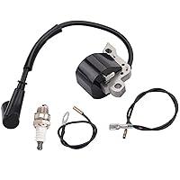 Algopix Similar Product 2 - Hipa Ignition Coil with Spark Plug for