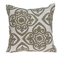 Algopix Similar Product 8 - Parkland Collection Noori Pillow Cover