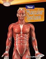 Algopix Similar Product 1 - Your Muscular System Searchlight Books