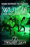 Algopix Similar Product 2 - Twilight Cave A Coming of Age Mystery