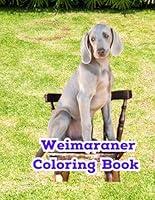 Algopix Similar Product 7 - Weimaraner Coloring Book Weimaraner