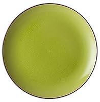 Algopix Similar Product 11 - Hospitality Brands HT80004006 Verdi