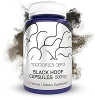 Algopix Similar Product 2 - Nootropics Depot Black Hoof Mushroom