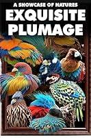 Algopix Similar Product 11 - Exploring Nature's Exquisite Plumage