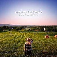 Algopix Similar Product 7 - Sometimes Just the Sky