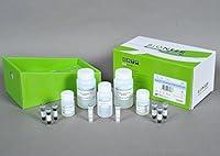 Algopix Similar Product 10 - MagListo 5M Universal Total RNA