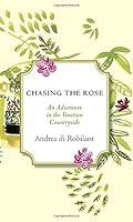 Algopix Similar Product 16 - Chasing the Rose An Adventure in the