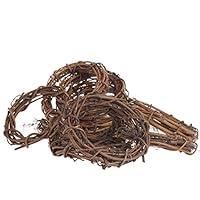 Algopix Similar Product 5 - Group of 12 Natural Dried Grapevine