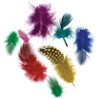 Algopix Similar Product 17 - ZUCKER Feather TM  Loose Guinea