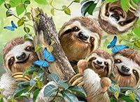 Algopix Similar Product 20 - Ravensburger Sloth Selfie 500 Piece