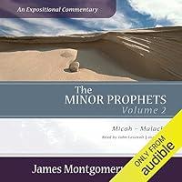 Algopix Similar Product 11 - The Minor Prophets An Expositional