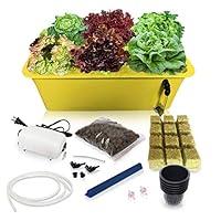 Algopix Similar Product 17 - DWC Hydroponic System Growing Kit 