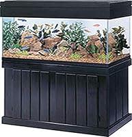 Algopix Similar Product 10 - All Glass Aquarium AAG51136 Pine