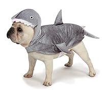 Algopix Similar Product 19 - Casual Canine Casual Canine Shark