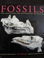 Algopix Similar Product 16 - Fossils The Evolution and Extinction