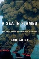 Algopix Similar Product 14 - A Sea in Flames The Deepwater Horizon