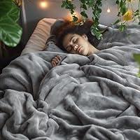 Algopix Similar Product 2 - Bedsure Fleece Bed Blankets Queen Size
