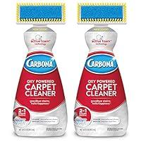 Algopix Similar Product 3 - Carbona OxyPowered 2in1 Carpet