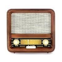 Algopix Similar Product 17 - Fuse RADV1 Vintage Retro Radio  AMFM