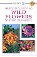 Algopix Similar Product 16 - First Field Guide to Wild Flowers of