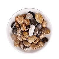 Algopix Similar Product 3 - River RockAquarium