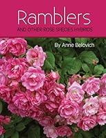 Algopix Similar Product 19 - RAMBLERS And Other Rose Species Hybrids