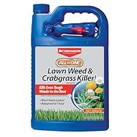 Algopix Similar Product 12 - BioAdvanced Allin One Lawn Weed and