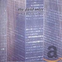 Algopix Similar Product 12 - Skywriting + Singles
