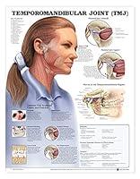 Algopix Similar Product 3 - Temporomandibular Joint TMJ