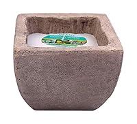Algopix Similar Product 11 - Patio Essentials Stone Candle with