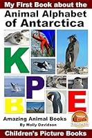 Algopix Similar Product 18 - My First Book about the Animal Alphabet