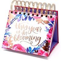 Algopix Similar Product 17 - bloom daily planners Undated Perpetual