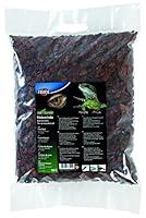 Algopix Similar Product 3 - Trixie 76141 Natural Pinewood Bark