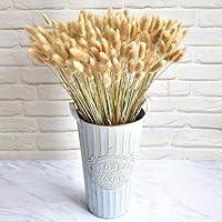 Algopix Similar Product 20 - 5060PCS Home Decoration Lagurus Ovatus