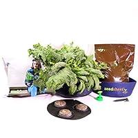 Algopix Similar Product 10 - Seedsheet Grow Your Own Mini Salad