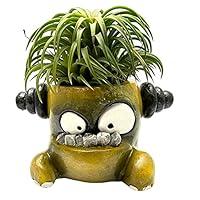 Algopix Similar Product 1 - Monster Pot Planter Flower pot head Air