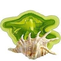 Algopix Similar Product 18 - Marvelous Molds Lambis Seashell
