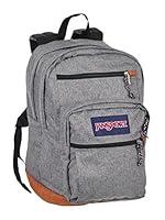 Algopix Similar Product 18 - JanSport Cool Student Backpack 