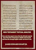 Algopix Similar Product 5 - New Testament Textual Analysis How and