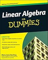 Algopix Similar Product 12 - Linear Algebra For Dummies