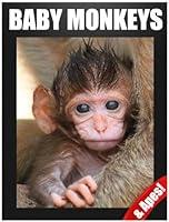 Algopix Similar Product 5 - Baby Monkeys and Apes Photos and Facts