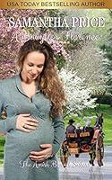 Algopix Similar Product 3 - A Baby For Florence Amish Romance The
