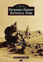 Algopix Similar Product 12 - Petrified Forest National Park Images