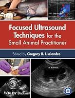 Algopix Similar Product 11 - Focused Ultrasound Techniques for the