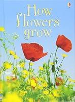 Algopix Similar Product 9 - How Flowers Grow Usborne Beginners