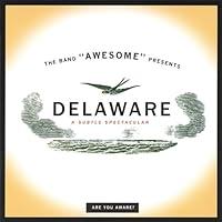 Algopix Similar Product 8 - Delaware - a Subtle Spectacular