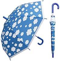 Algopix Similar Product 10 - RainStoppers W107CHCLOUD 34Inch