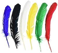 Algopix Similar Product 5 - Turkey Quills 6/Pkg (Assorted colors)