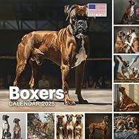 Algopix Similar Product 6 - Boxers Calendar 2025 365 Days of