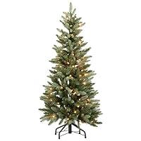 Algopix Similar Product 11 - Holiday PeakTM 4 PreLit Blue Spruce